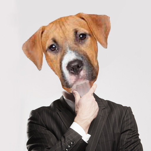Dog face stickers filters app icon
