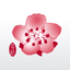 China Airlines App icon