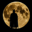 Jigsaw Puzzles for Batman icon
