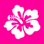 Hawaiian Words & Phrases! Hawaii Dictionary and Casual Language Translation Guide icon