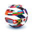 Translator Professional+Widget icon