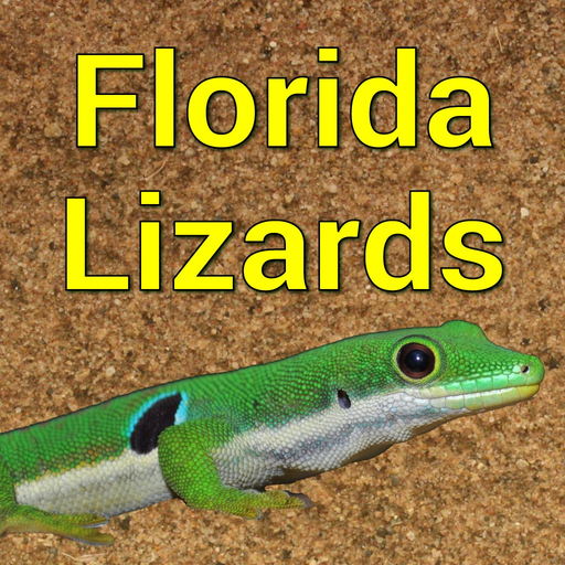 Florida Lizards app icon