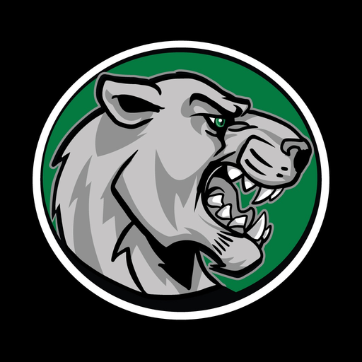 CosmoLink app icon