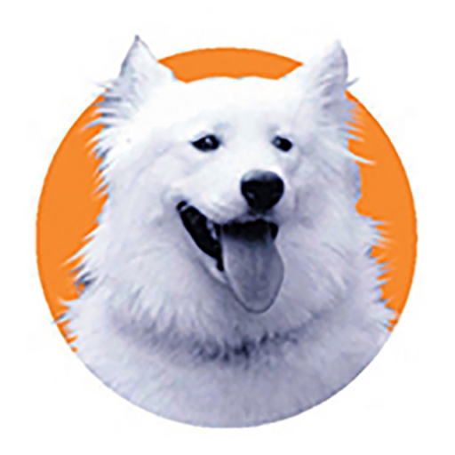 BMF Practice Hygiene app icon