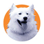 BMF Practice Hygiene icon