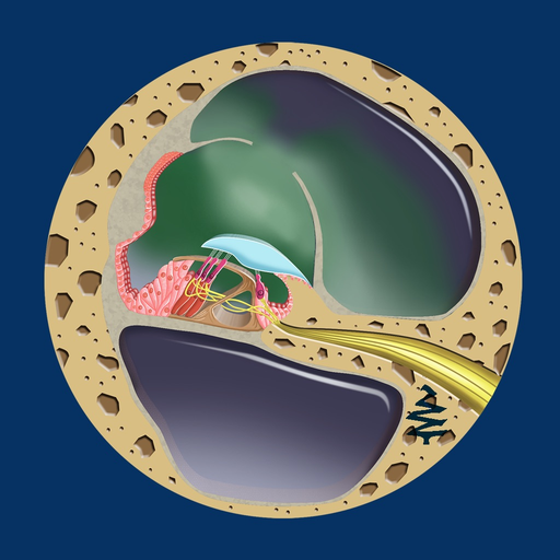 Ear Disorders: Inner app icon