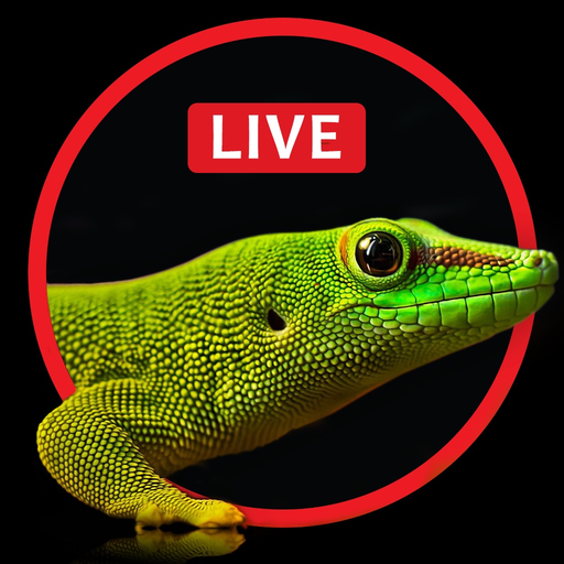 Live Wallpaper for iPhone 6s, 6s plus – Free Animated & Custom Dynamic Backgrounds app icon