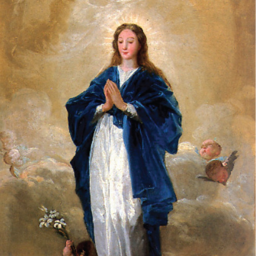 Academia Inmaculada Concepción app icon