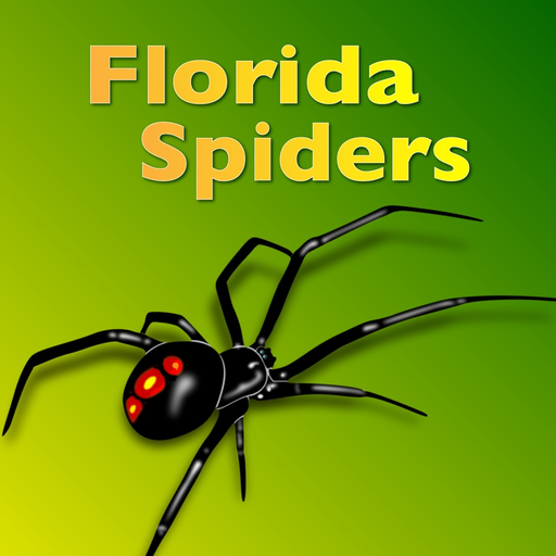 Florida Spiders app icon