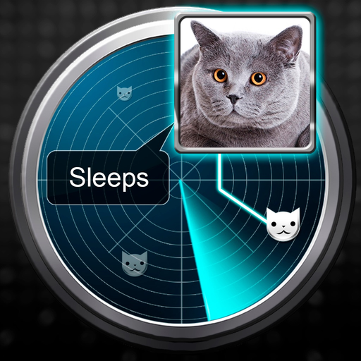 Radar What Makes Cat Joke app icon