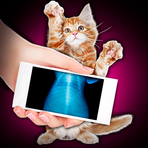 Xray Scanner Pet Cat Prank app icon