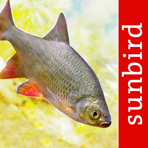 Fish Id - Freshwater Fish UK app icon