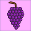 VinoQuiz icon