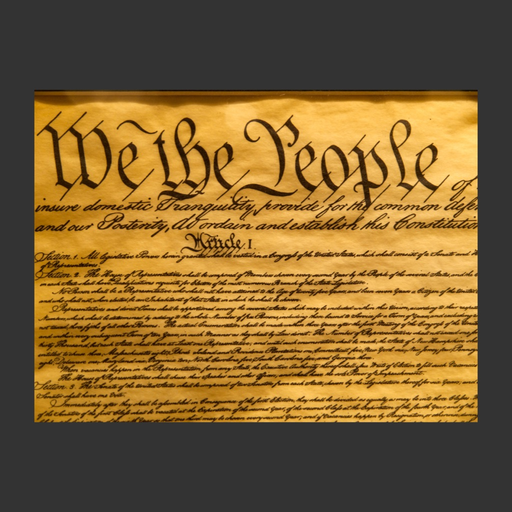 US Constitution - TapTrak Studios app icon