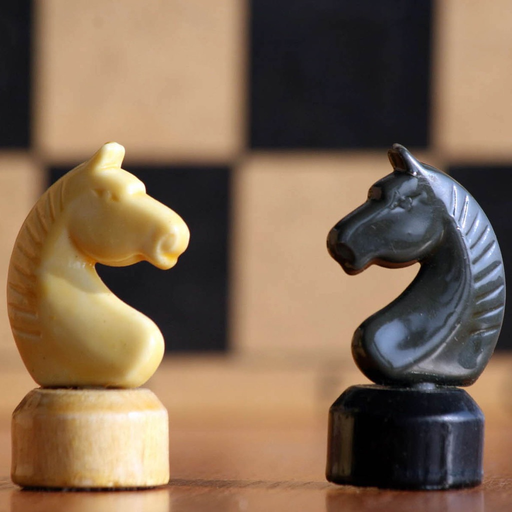 Chess Master Class app icon
