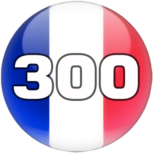Learn Top 300 French Words app icon