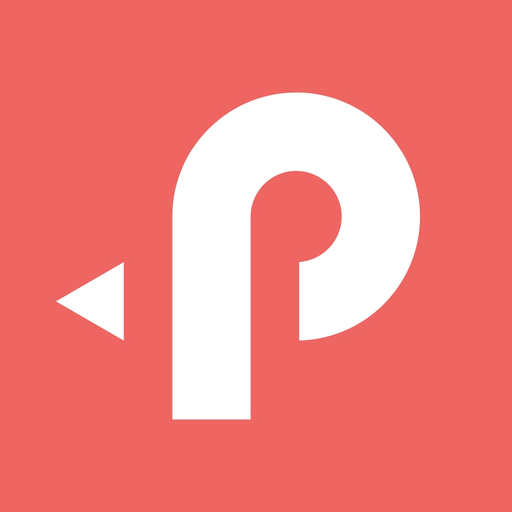 Paynet Wallet app icon
