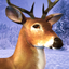 Deer Hunting Ice Age icon