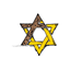 Beth Simcha icon
