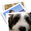 DeskTop Photo Player icon