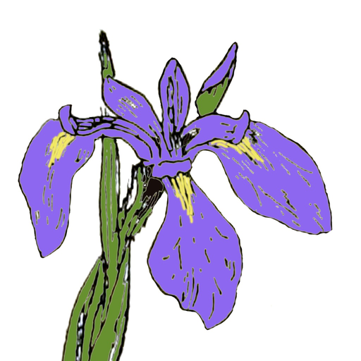 Quebec Wildflowers app icon