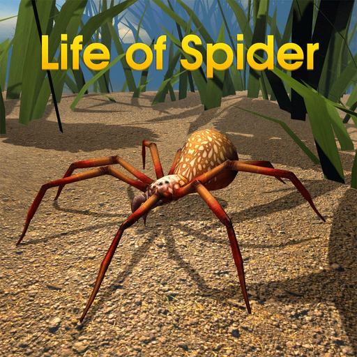 Life Of Spider app icon