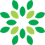 Acacia Energy icon