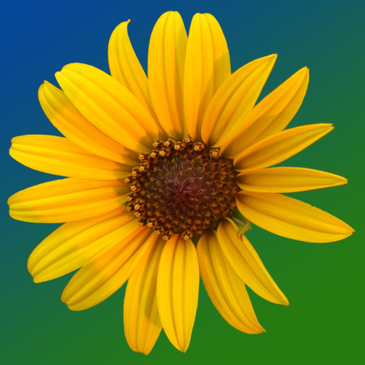 Kansas Wildflowers app icon