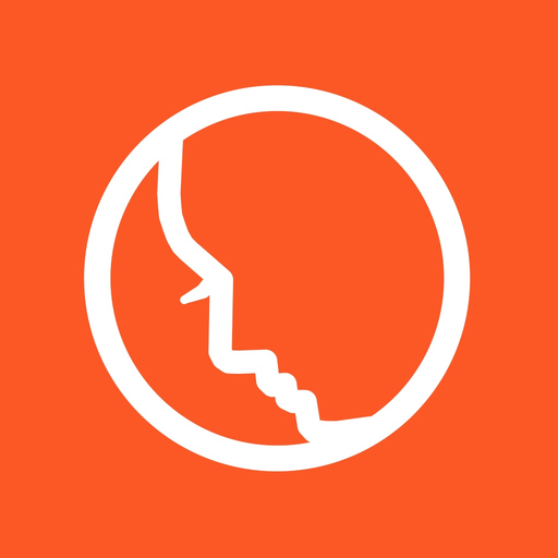 Style LookRev app icon