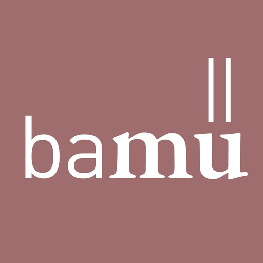 Basler Münster app icon