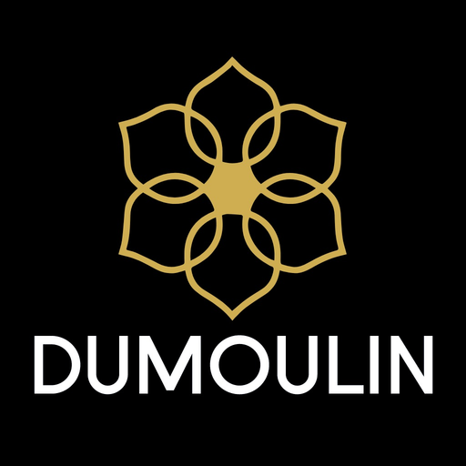 Dumoulin Travel Guides app icon