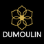 Dumoulin Travel Guides icon