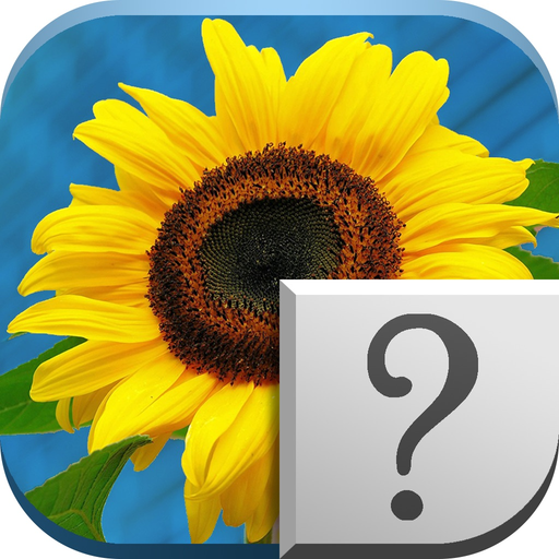 Picture Guess - Cognitive Stimulation app icon