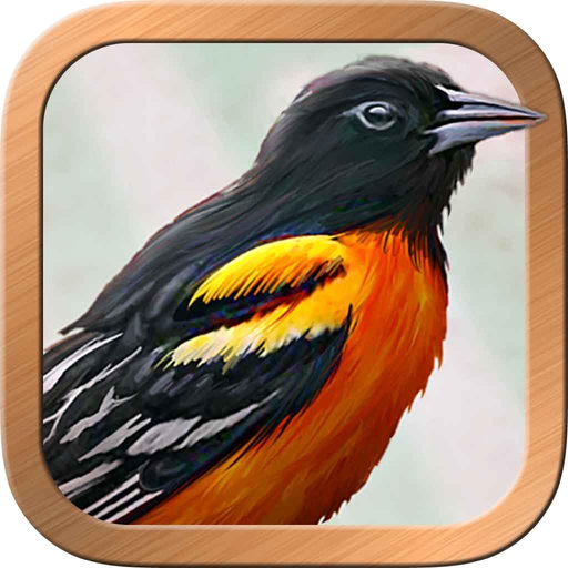 Ciro's Gilded Reverie Lennie app icon