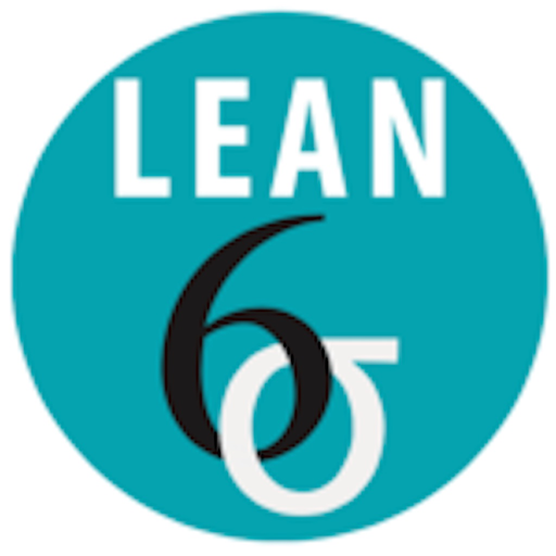 Lean Six Sigma Companion app icon