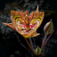 SF Bay Area Wildflowers icon