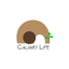 Calvary LIFE LA icon