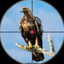 Bird Hunting Game 2026 icon