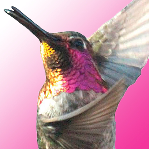 LifeDancing app icon