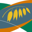 MyCrop Oats icon
