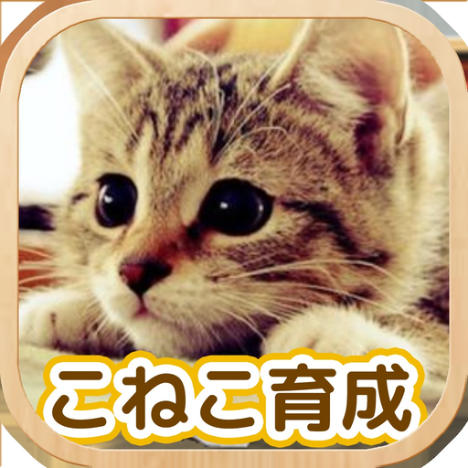 Cat Healing Life app icon