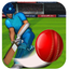 Cricket International Cup League 2017 icon