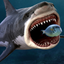 King Of The Fish Tank icon