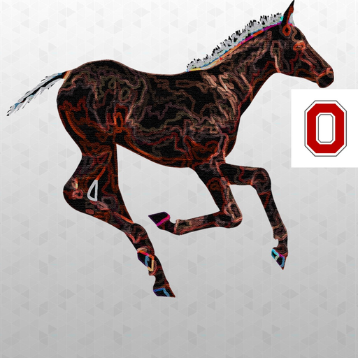 FoalScore app icon