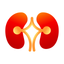Stone MD: Kidney stones icon
