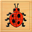 Kids Insect Jigsaw Puzzle and Memory Game icon