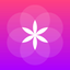 Material Colors icon