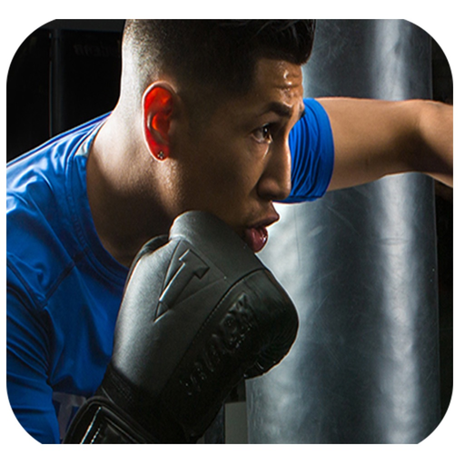 International Real Boxing Champion Game app icon