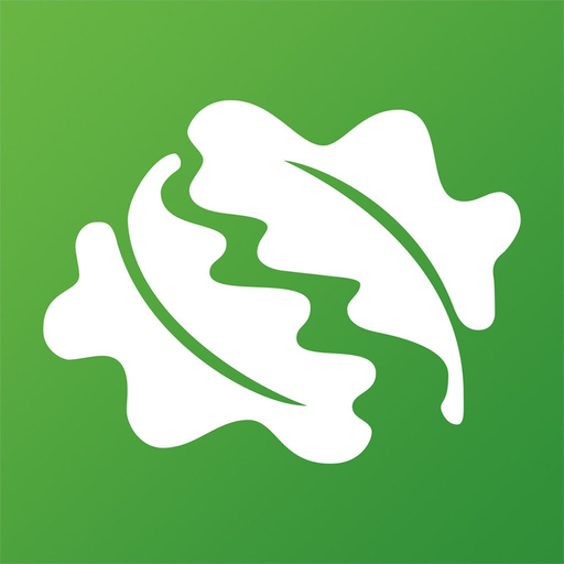 British tree identification app icon
