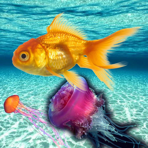 Underwater Sea Simulation app icon